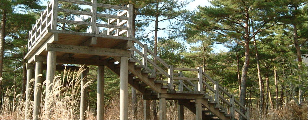 自然探検路コース